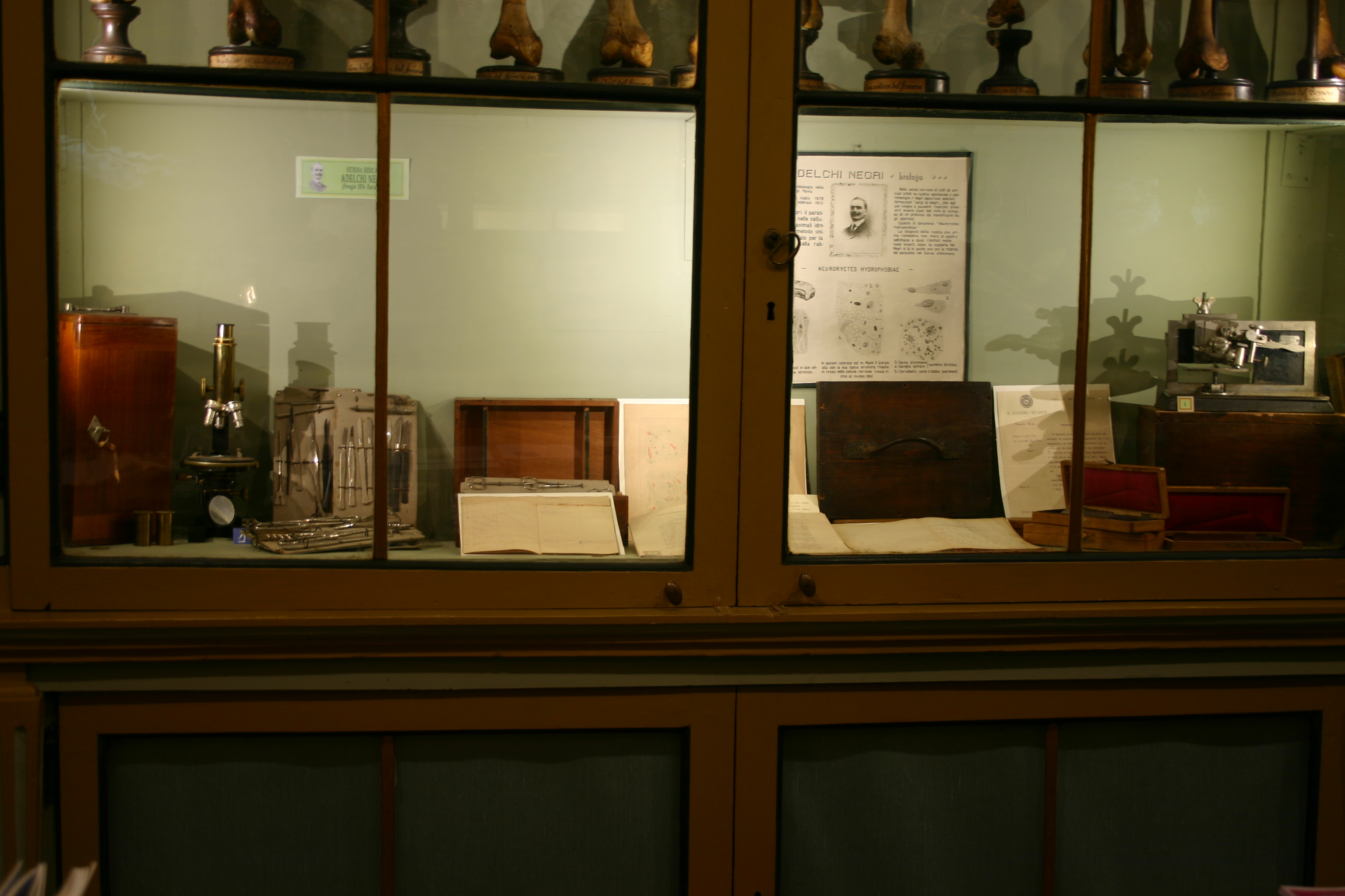 Adelchi Negri's memorabilia, Museo per la Storia dell'Università, Pavia.JPG